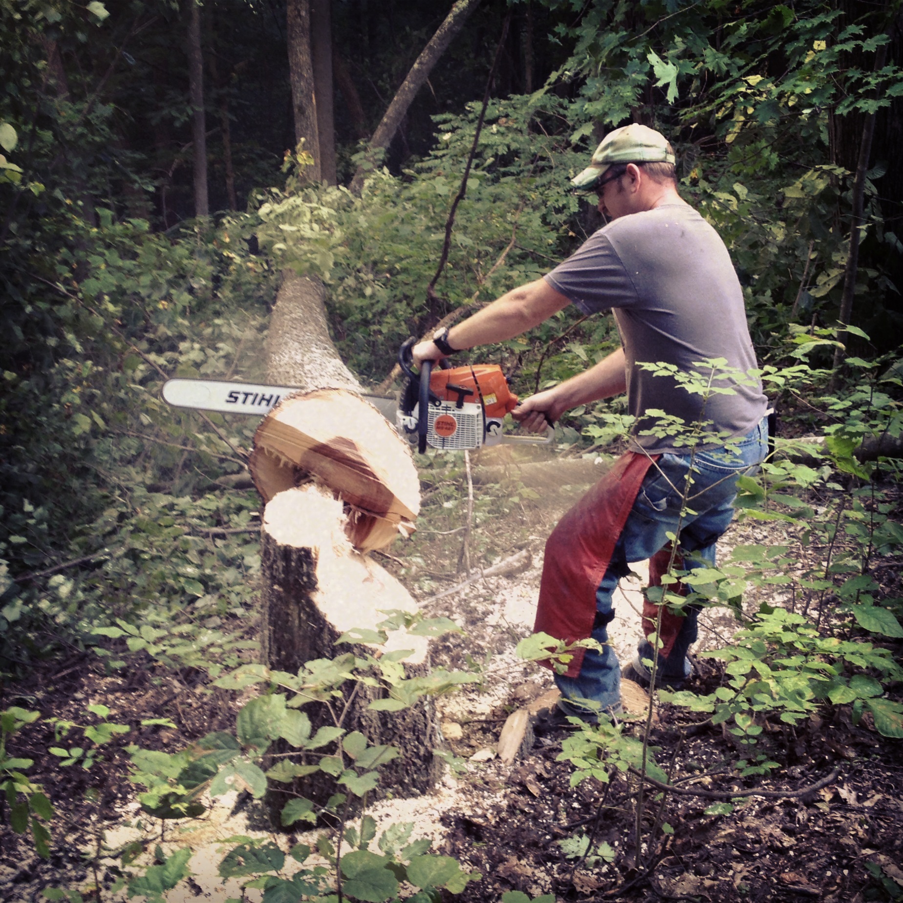 Jerrod Gabel, director, clearing a fallen tree of a nearby trail.