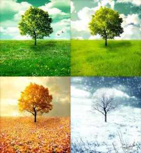 the_four_seasons___vivaldi_by_irvinggfm-d4tj3vc