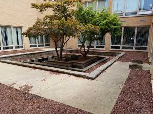 Capital Memorial courtyard before Carmody and volunteers began renovation. 